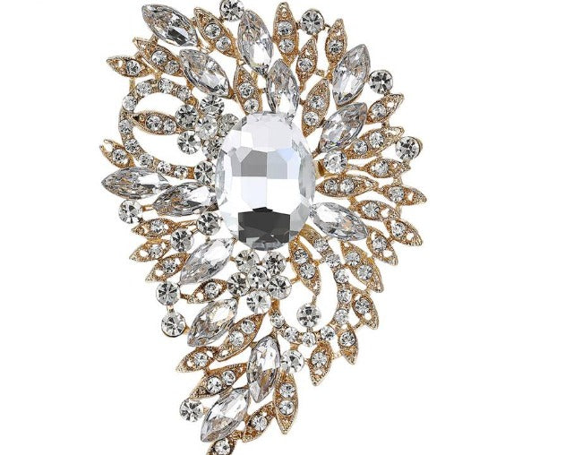 Encrusted Transparent Spread Brooch