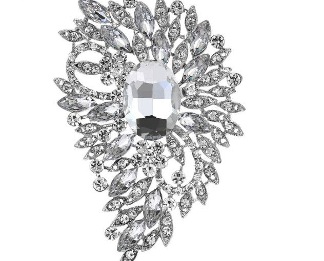Encrusted Transparent Silver Spread Brooch